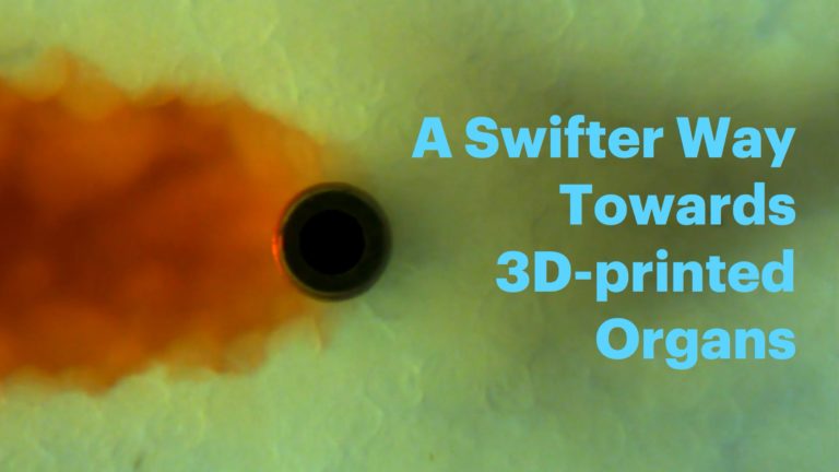 SWIFT : la nouvelle technique d’impression 3D d’organes humains