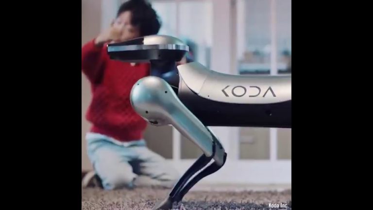 Koda is a social robot, an artificial intelligence robotic dog company