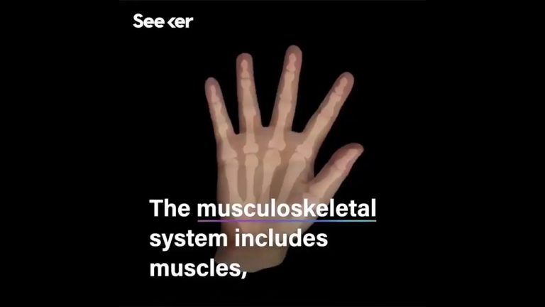 Virtual human hand simulation holds promise for prosthetics!