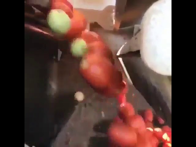 Automatic sorting of tomatoes by Computer Vision